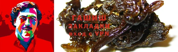 стаф Каменск-Шахтинский