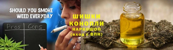стаф Каменск-Шахтинский