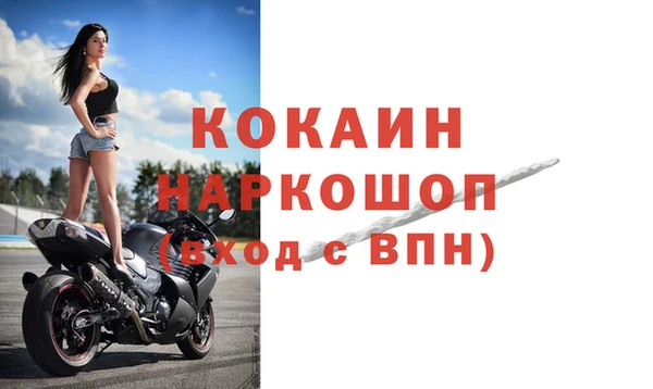 стафф Каменка
