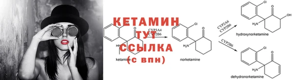 стаф Каменск-Шахтинский