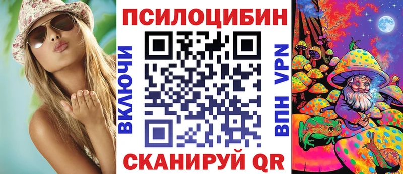 Псилоцибиновые грибы мицелий  Купить закладки  Грязовец 